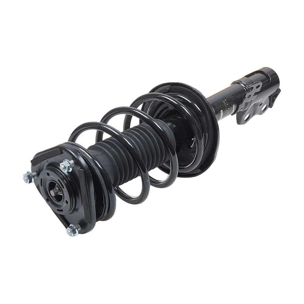 Complete Strut V172989