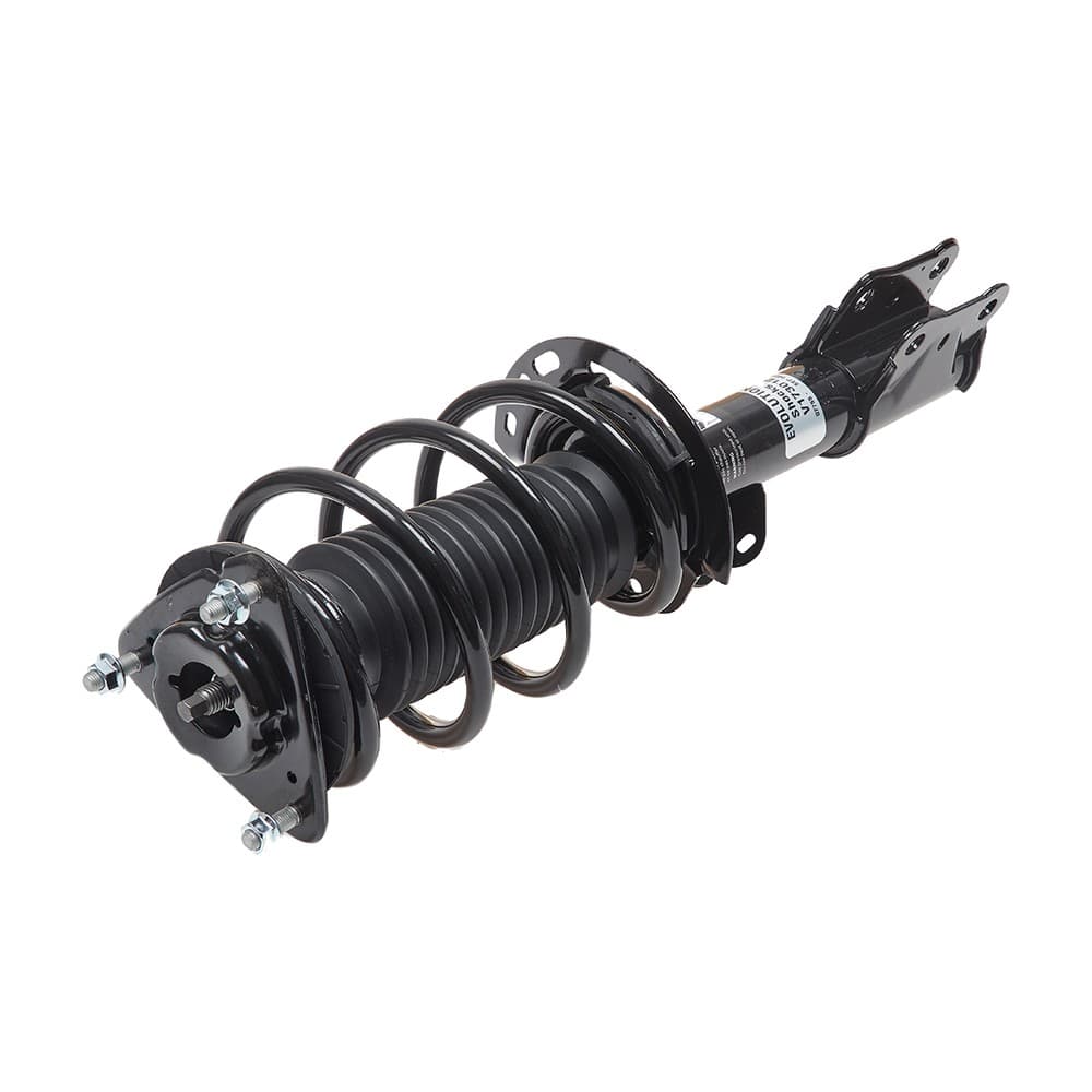 Complete Strut V173012