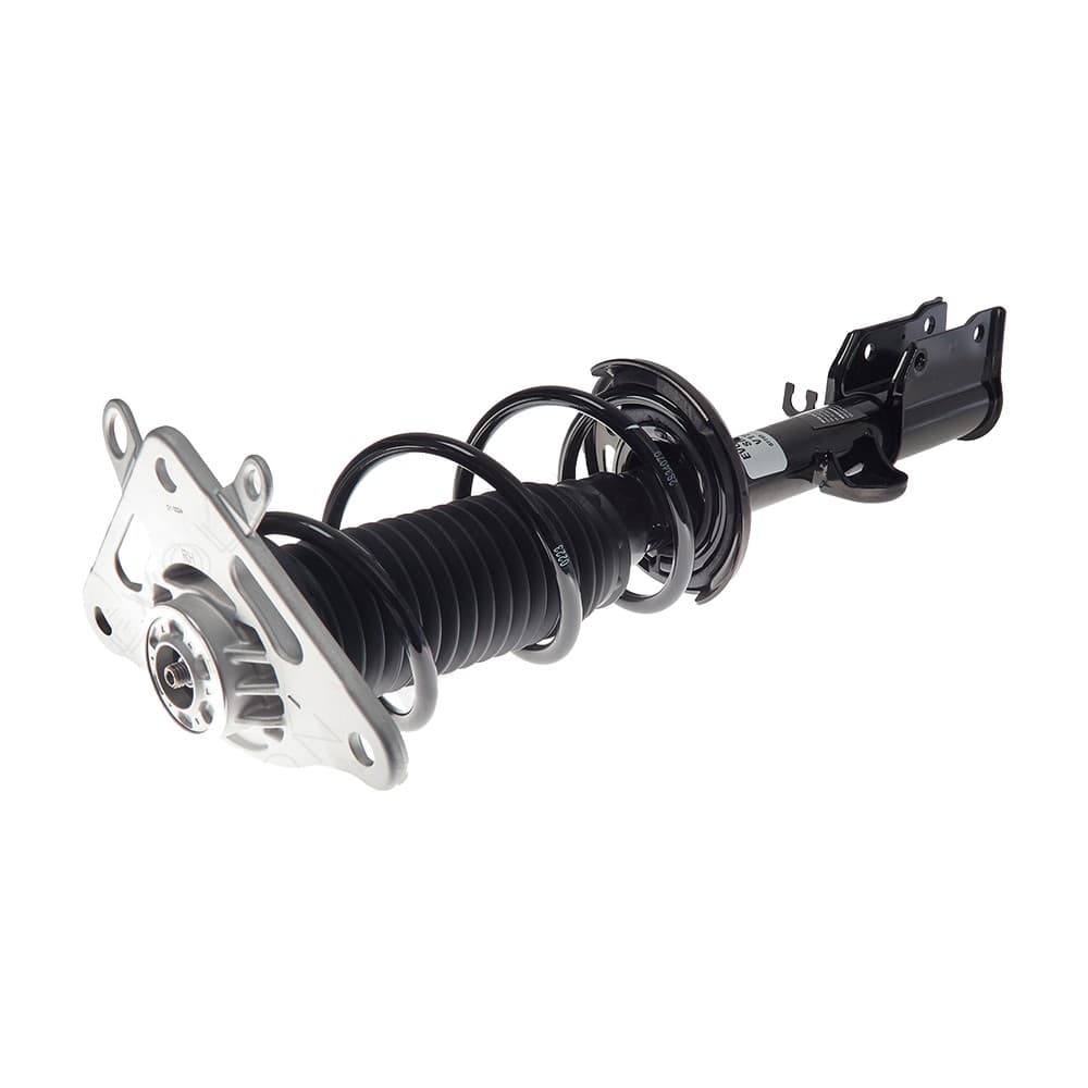 Complete Strut V173023