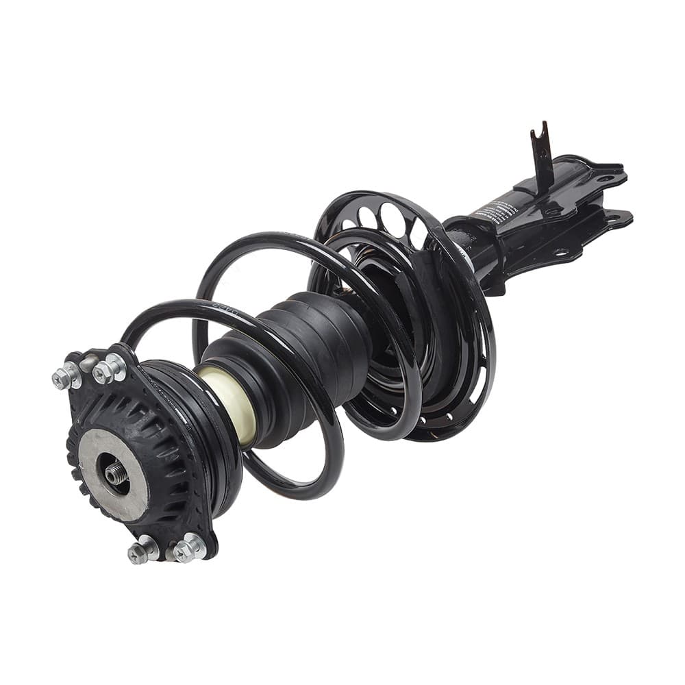 Complete Strut V173051