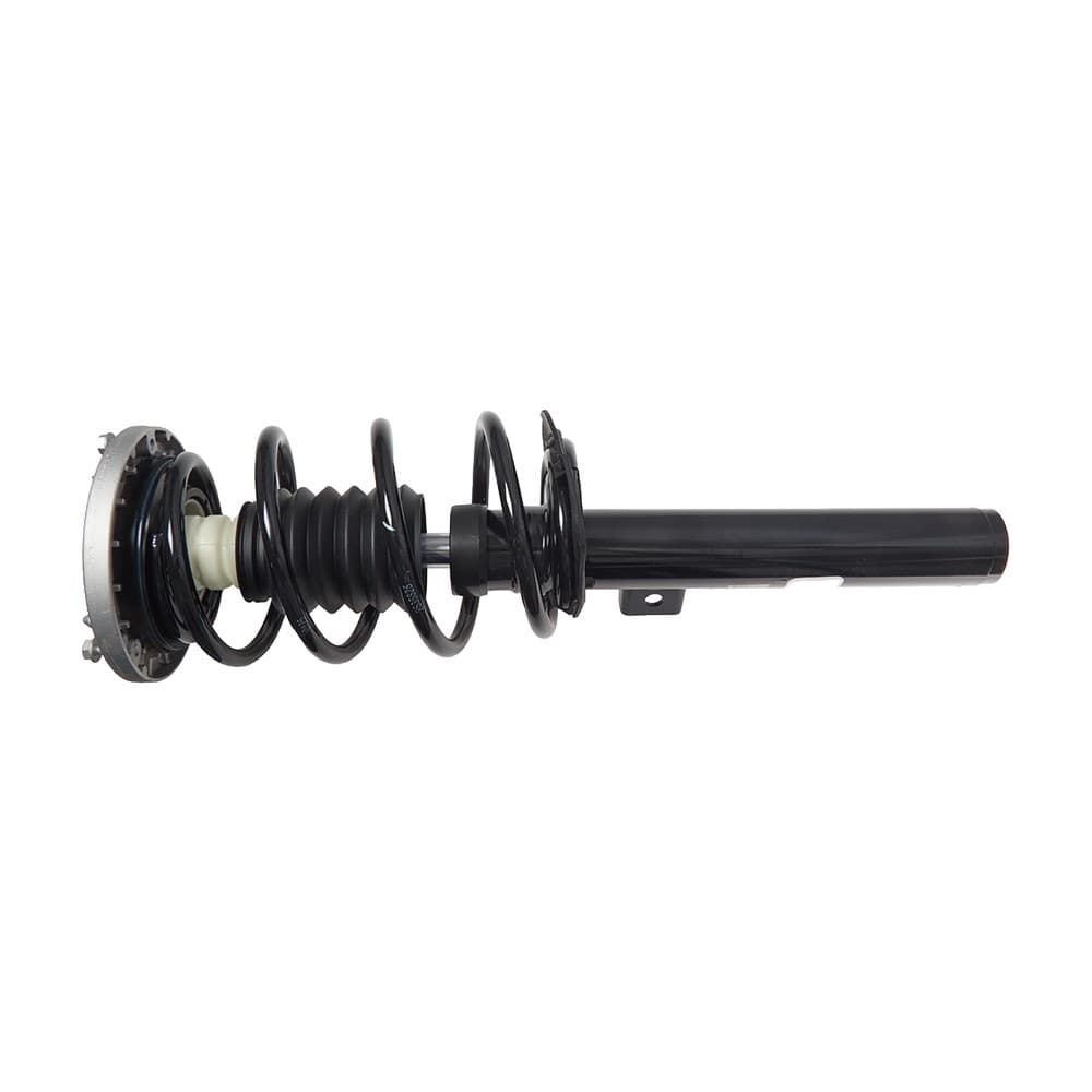 Complete Strut V173114
