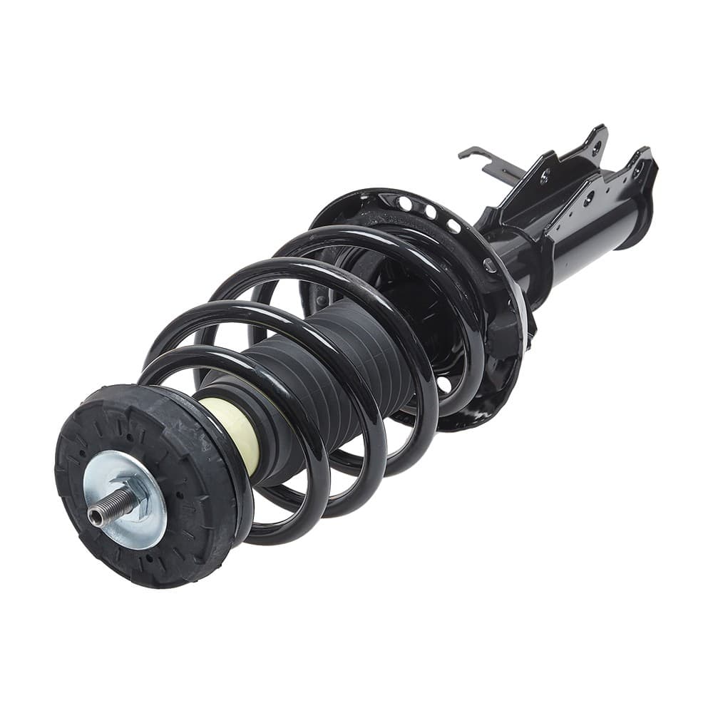 Complete Strut V182910