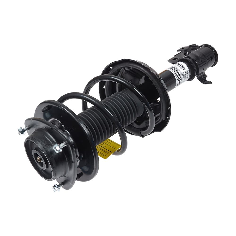 Complete Strut V183071