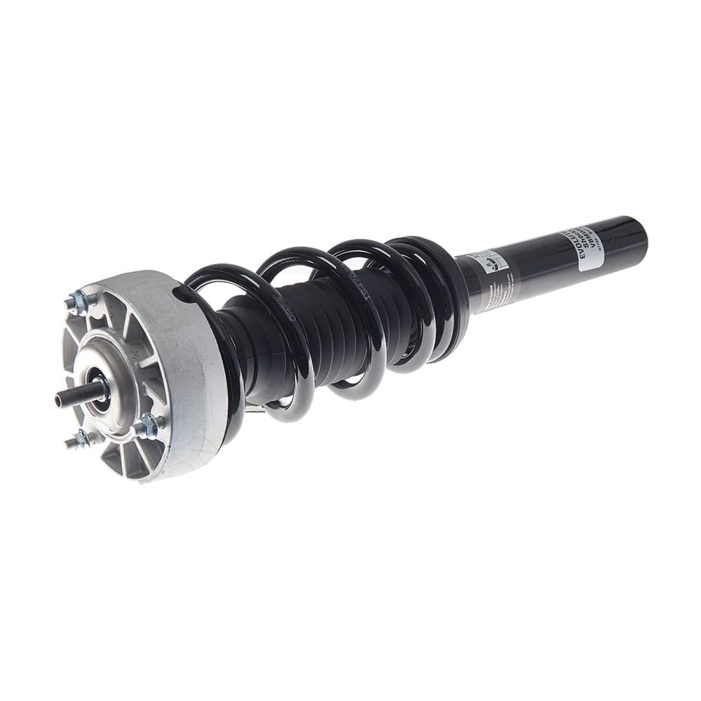 Complete Strut VBMW002