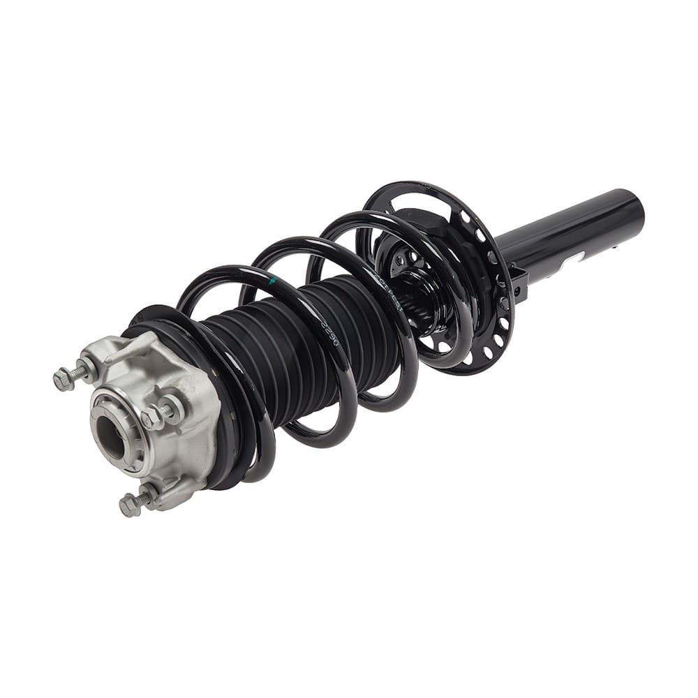 Complete Strut VBMW009L