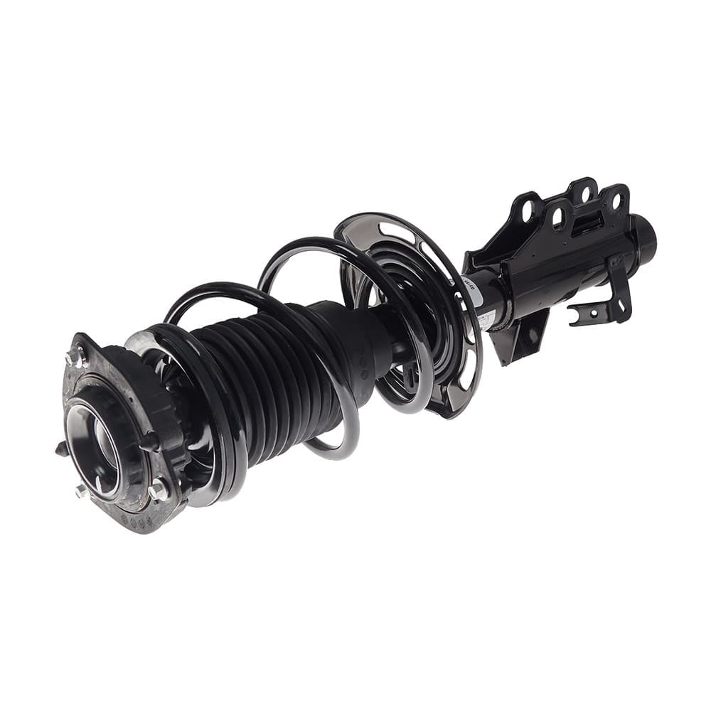 Complete Strut VCHE002L