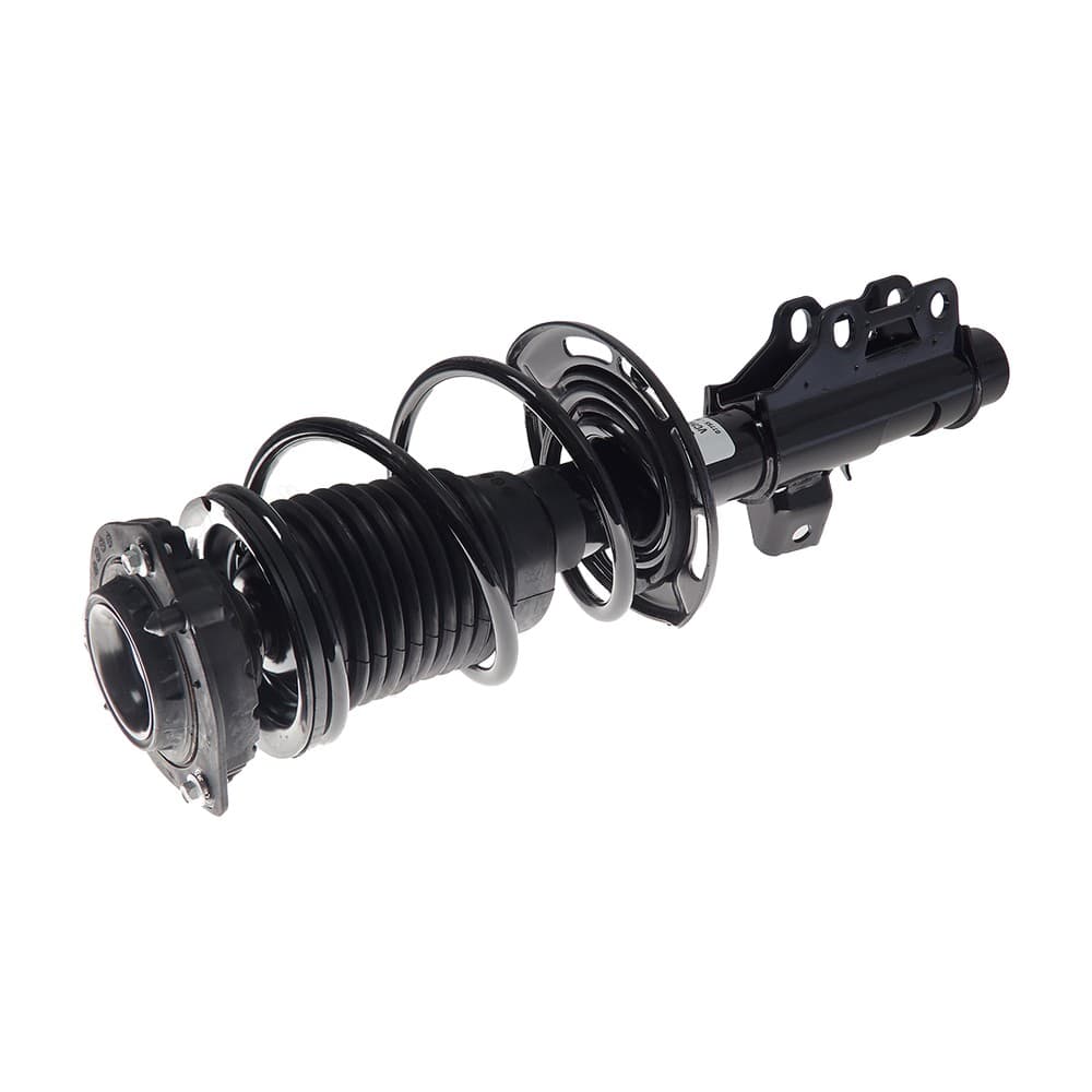 Complete Strut VCHE002R