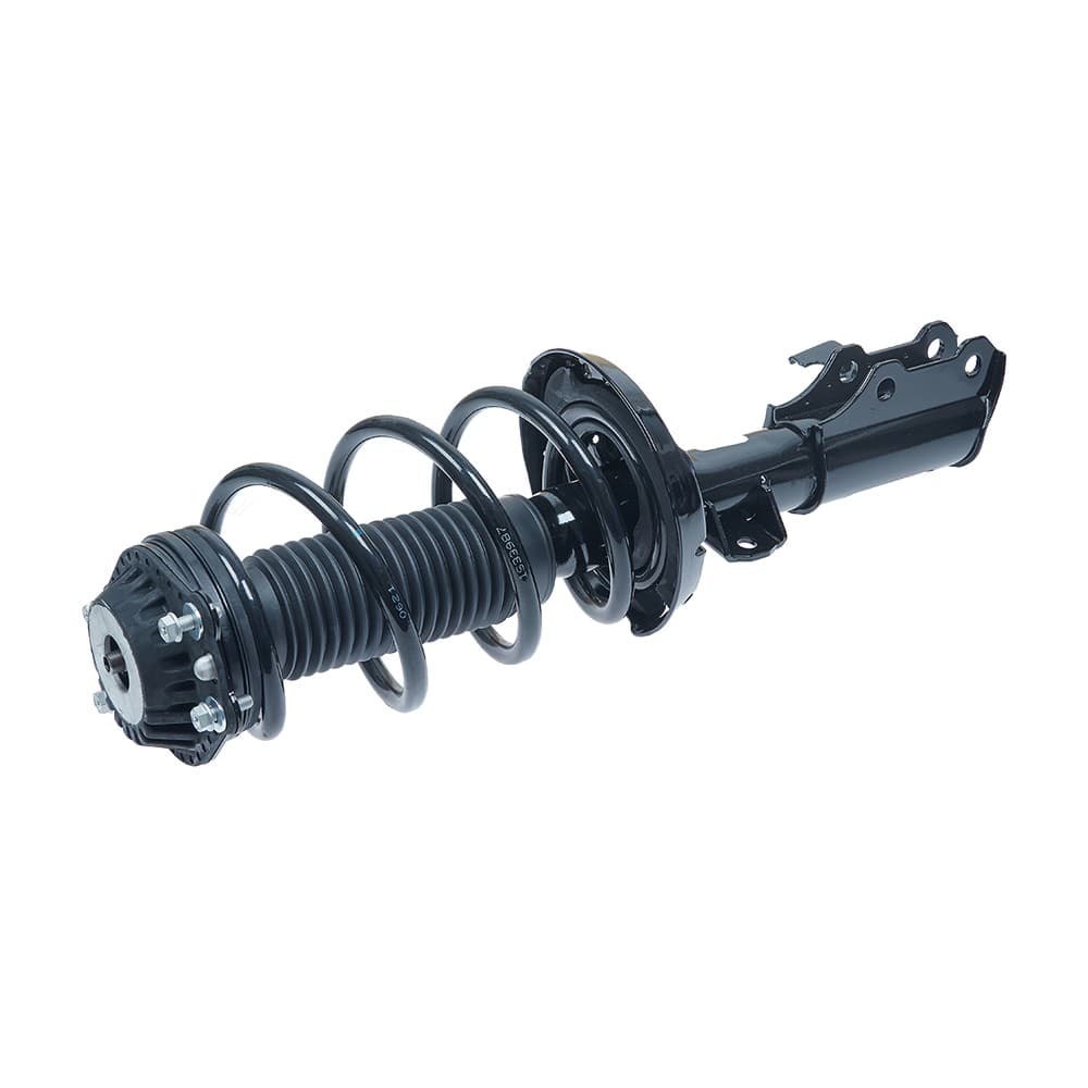 Complete Strut VCHE010R
