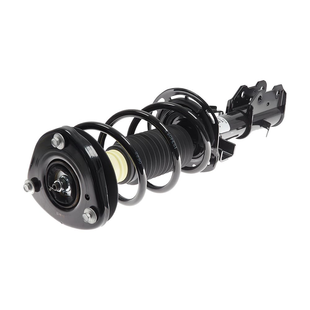 Complete Strut VFOR002R