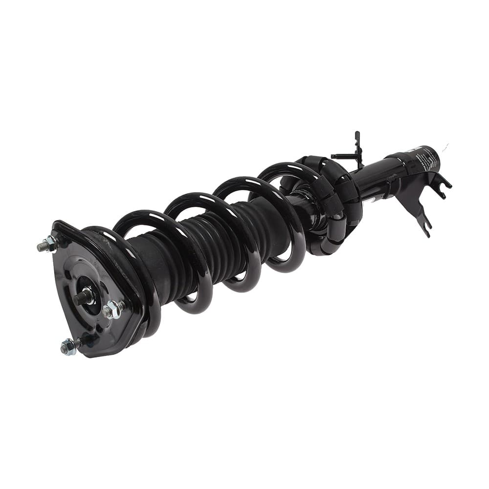 Complete Strut VINF003R