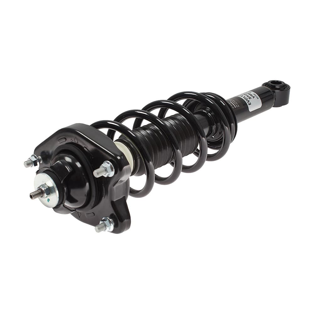 Complete Strut VMIT001
