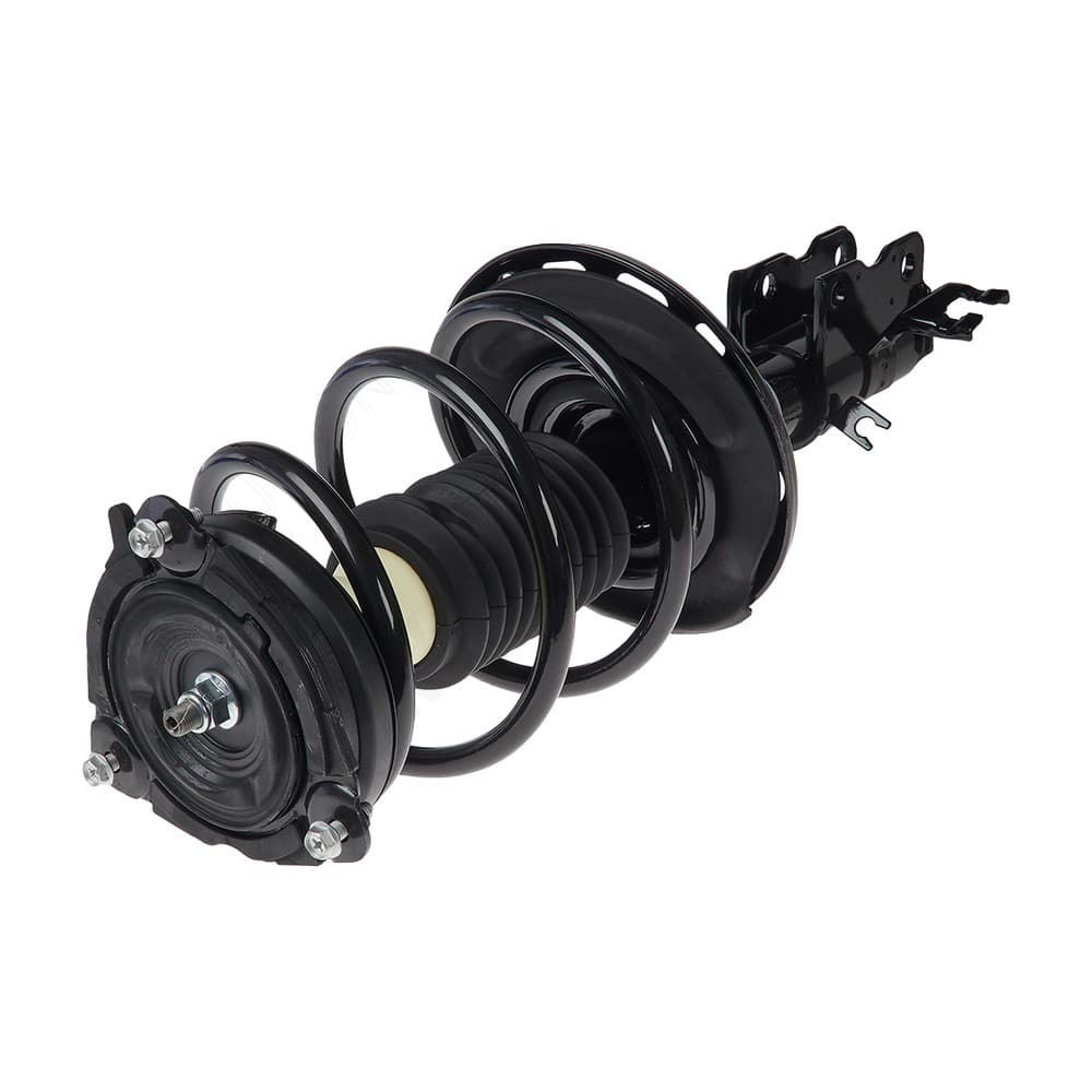 Complete Strut VNIS003L