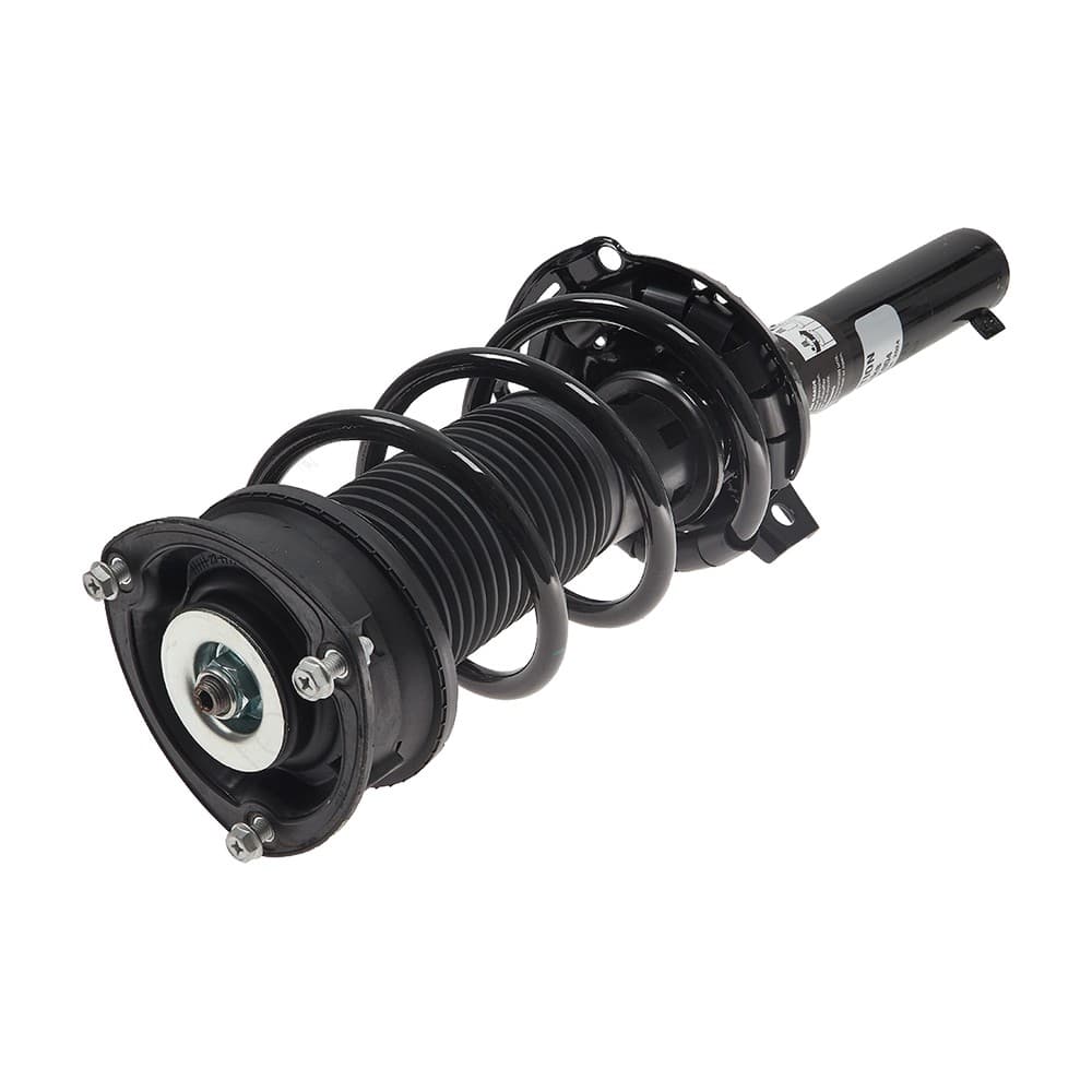 Complete Strut VVOLK004