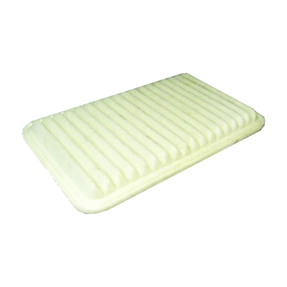 Air Filter XA5432
