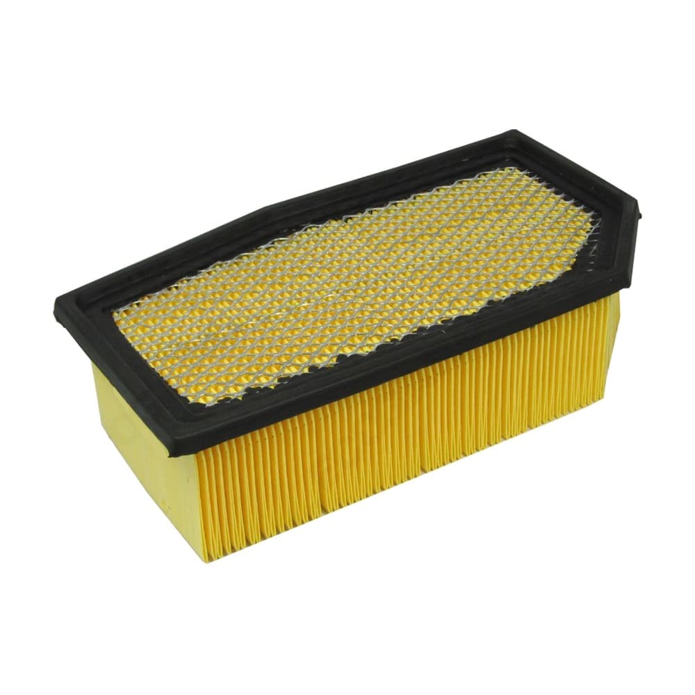 Air Filter XA5565