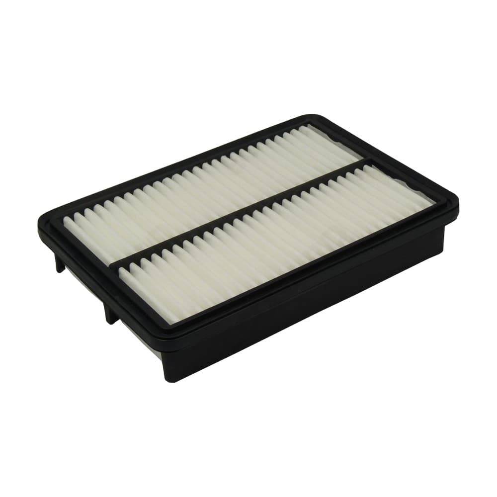 Air Filter XA5584