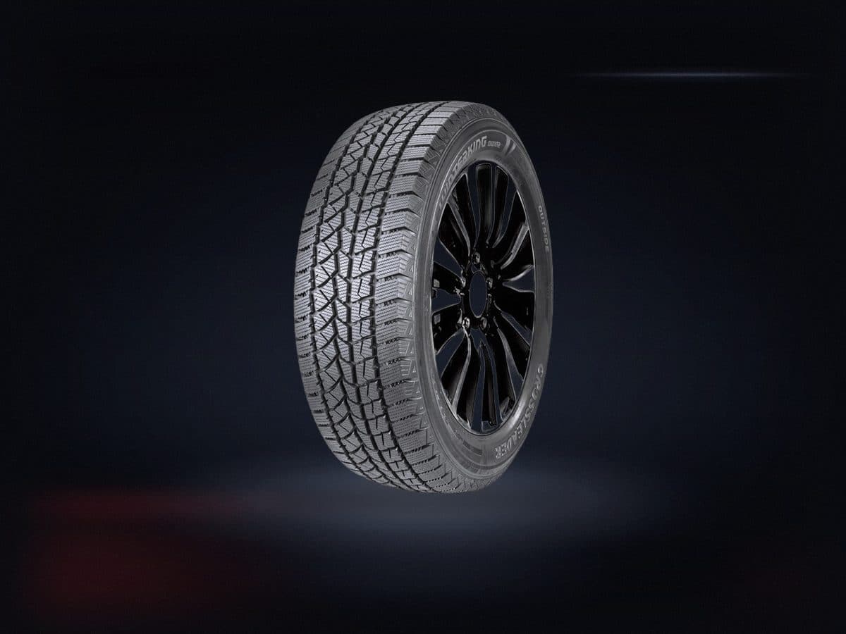 DW02 245/65R17 107S