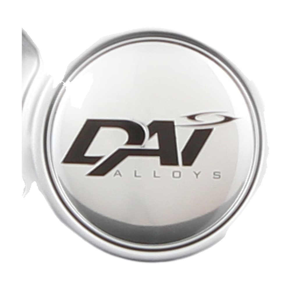 Center Cap Silver Chrome/Silver