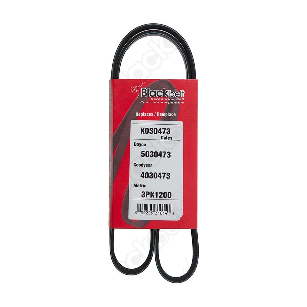 Serpentine Belt K030473