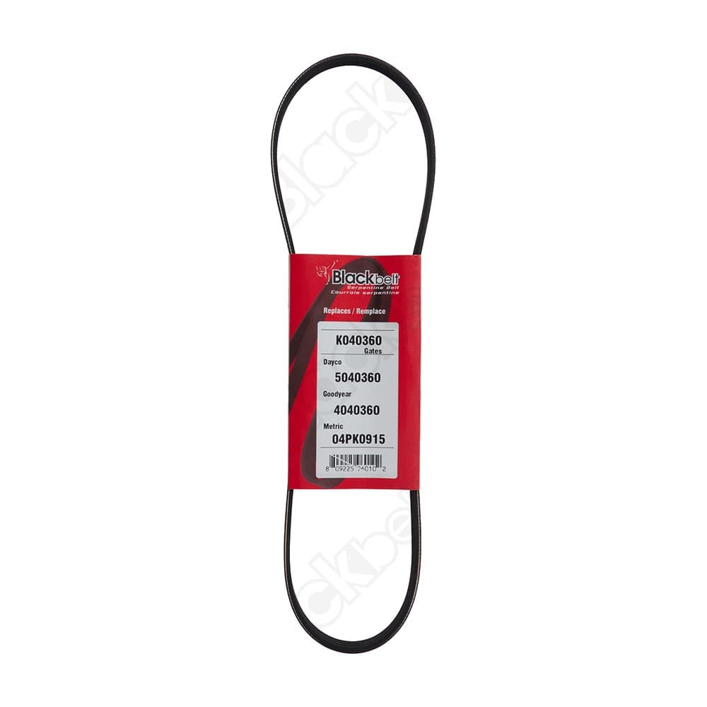 Serpentine Belt K040360