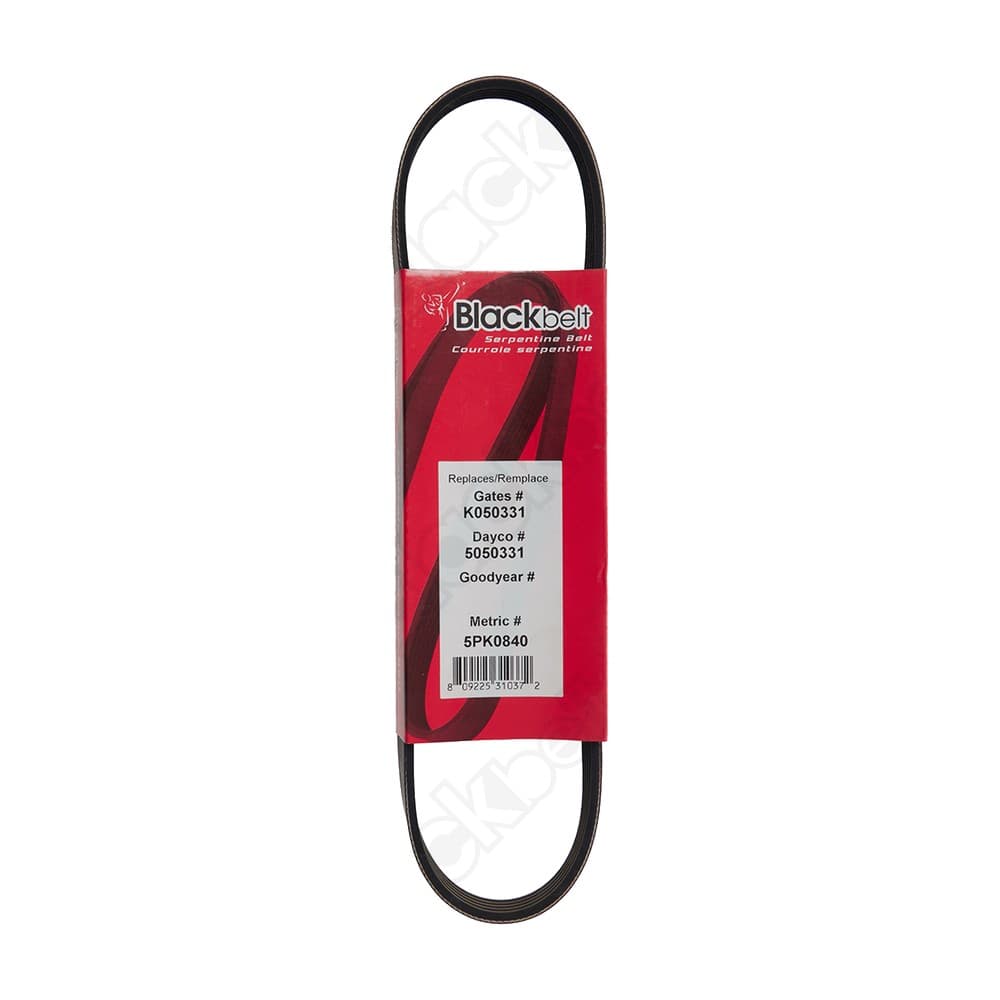 Serpentine Belt K050331