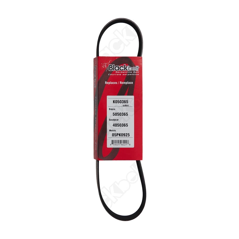 Serpentine Belt K050365
