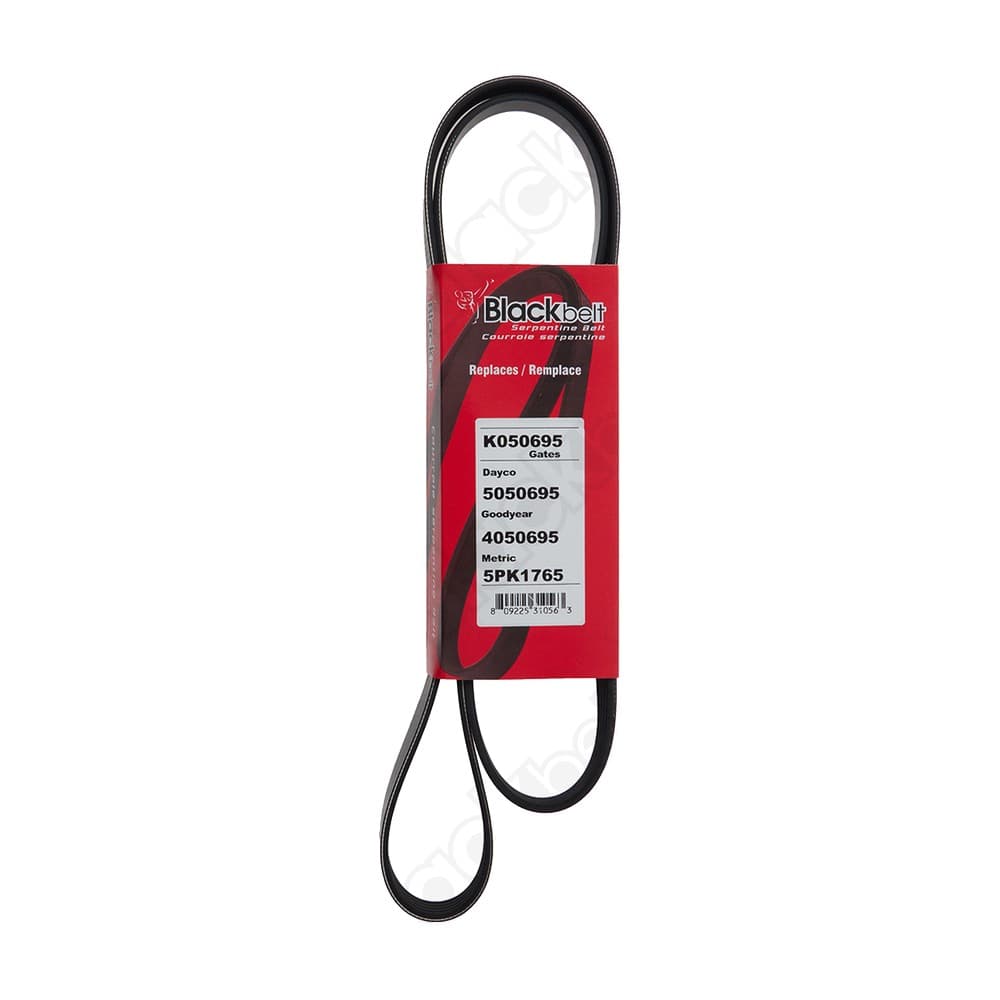 Serpentine Belt K050695