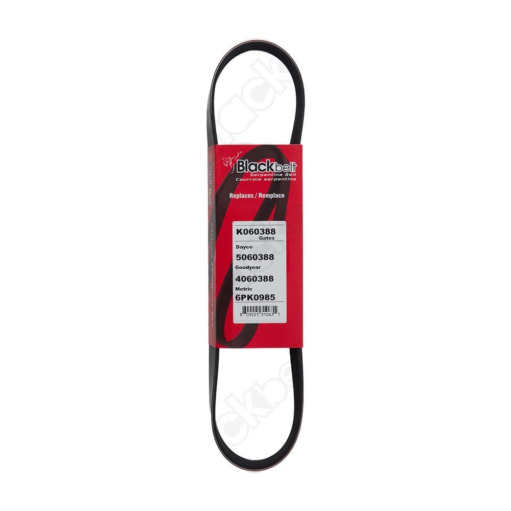 Serpentine Belt K060388