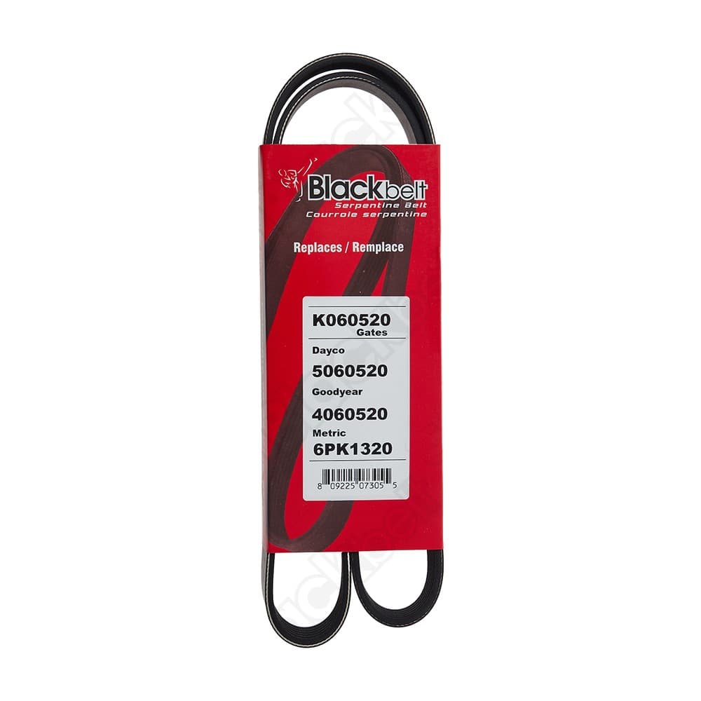 Serpentine Belt K060520