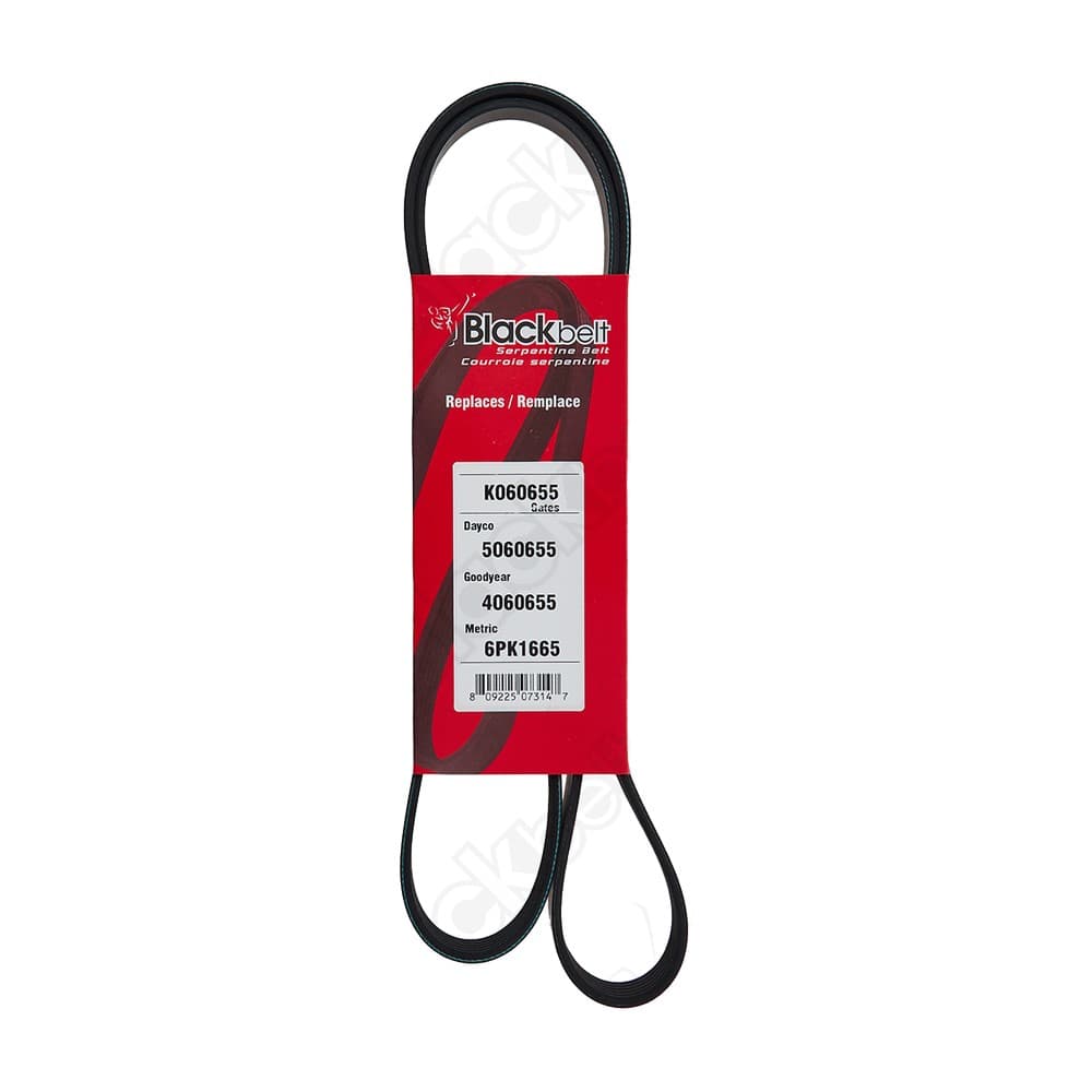 Serpentine Belt K060655