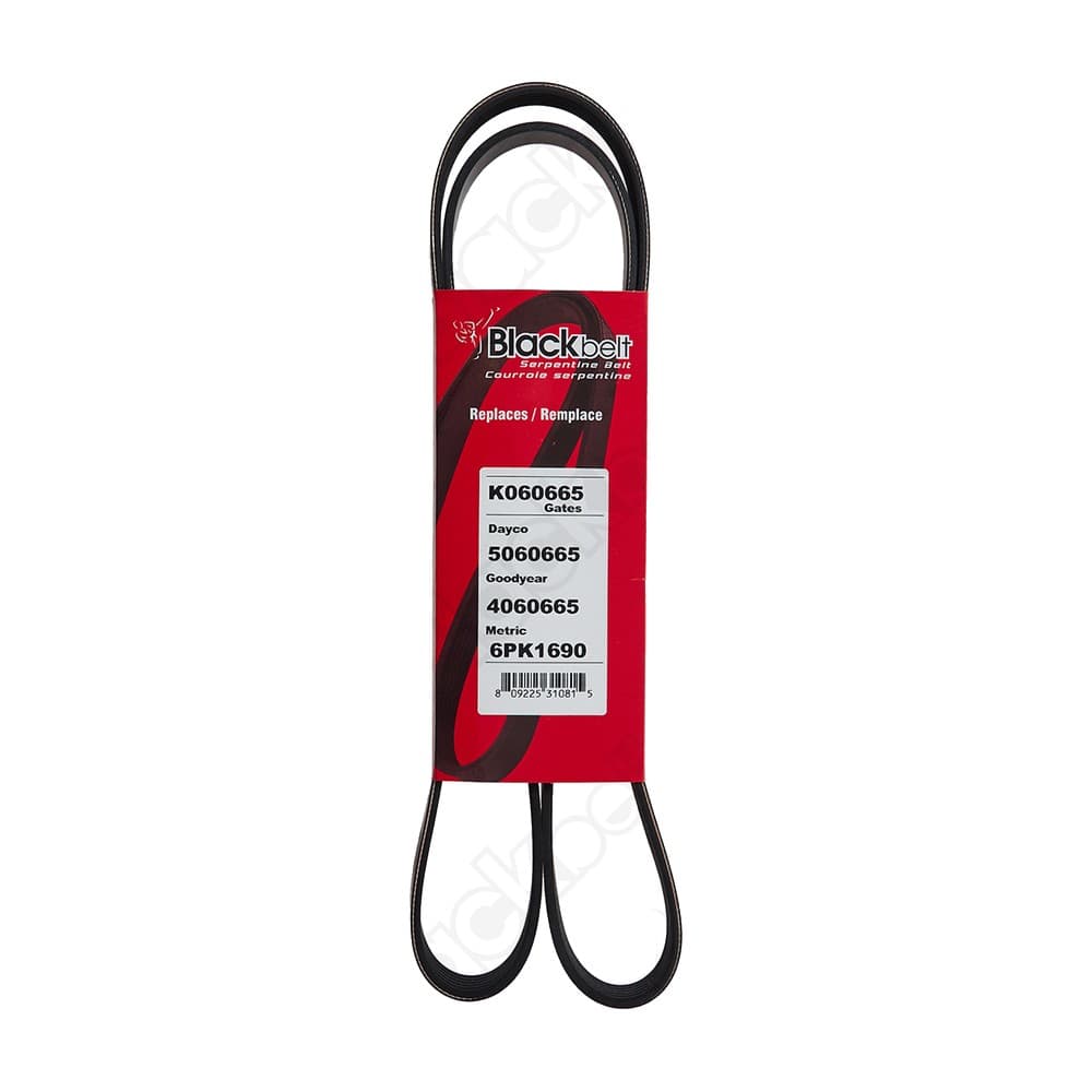 Serpentine Belt K060665
