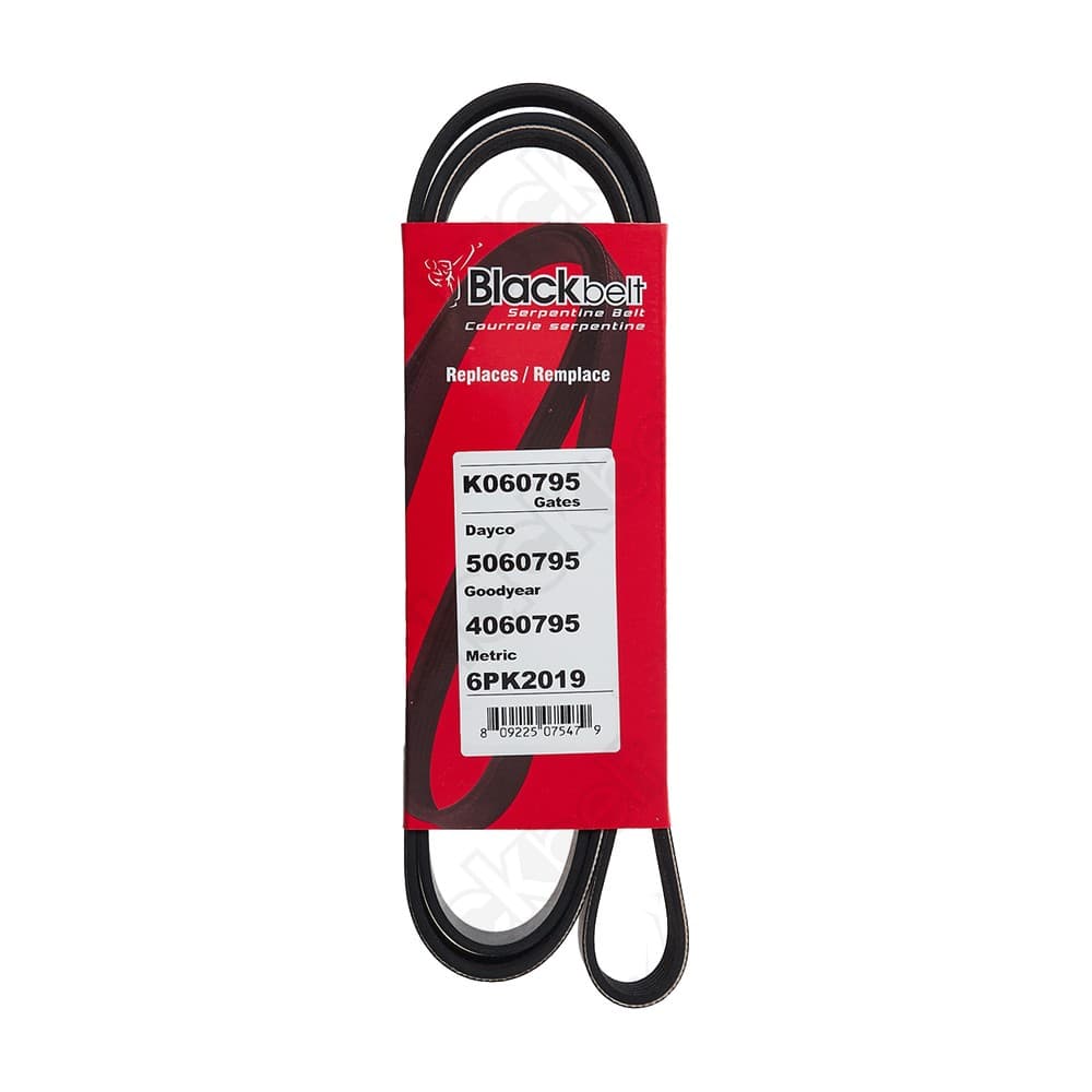 Serpentine Belt K060795