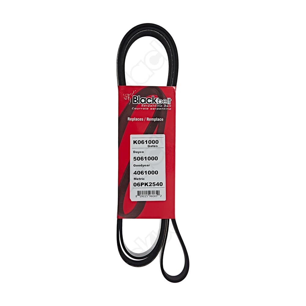 Serpentine Belt K061000