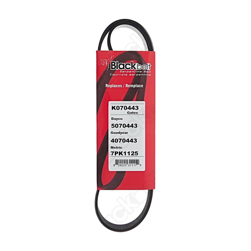 Serpentine Belt K070443