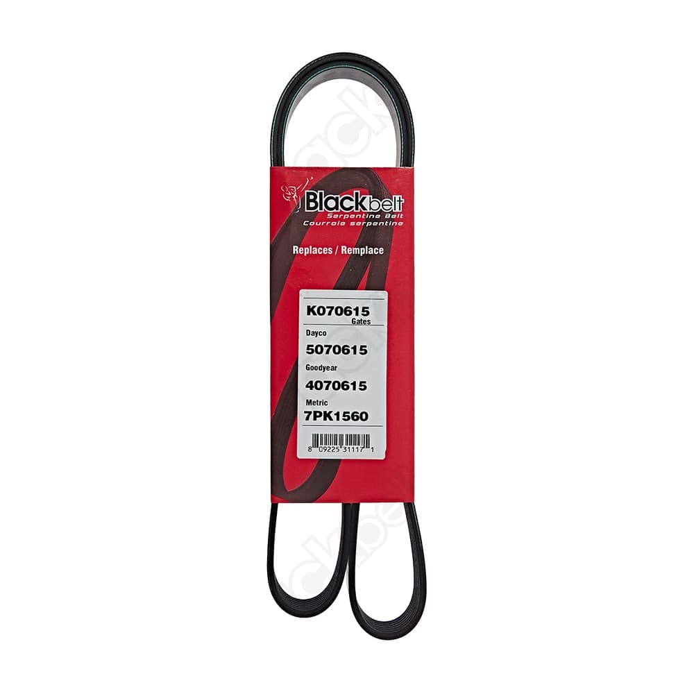 Serpentine Belt K070615
