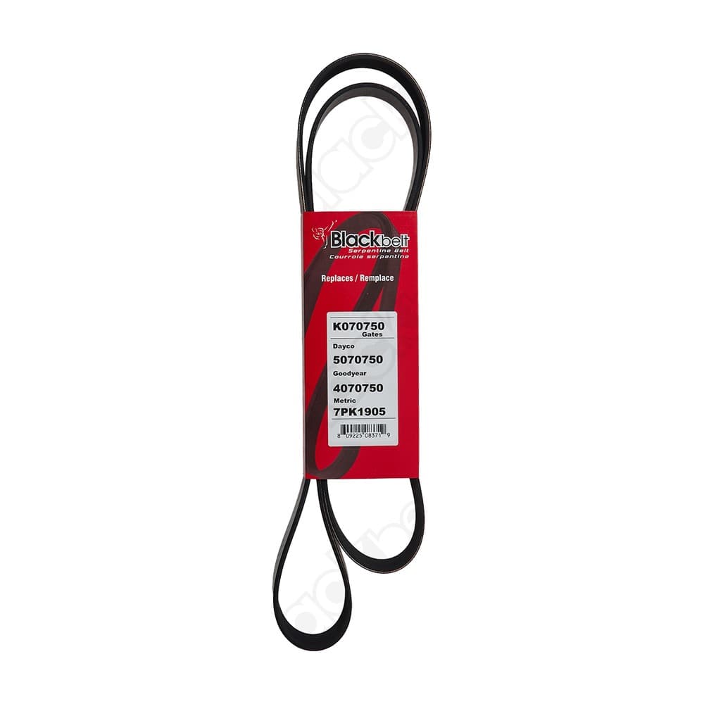 Serpentine Belt K070750