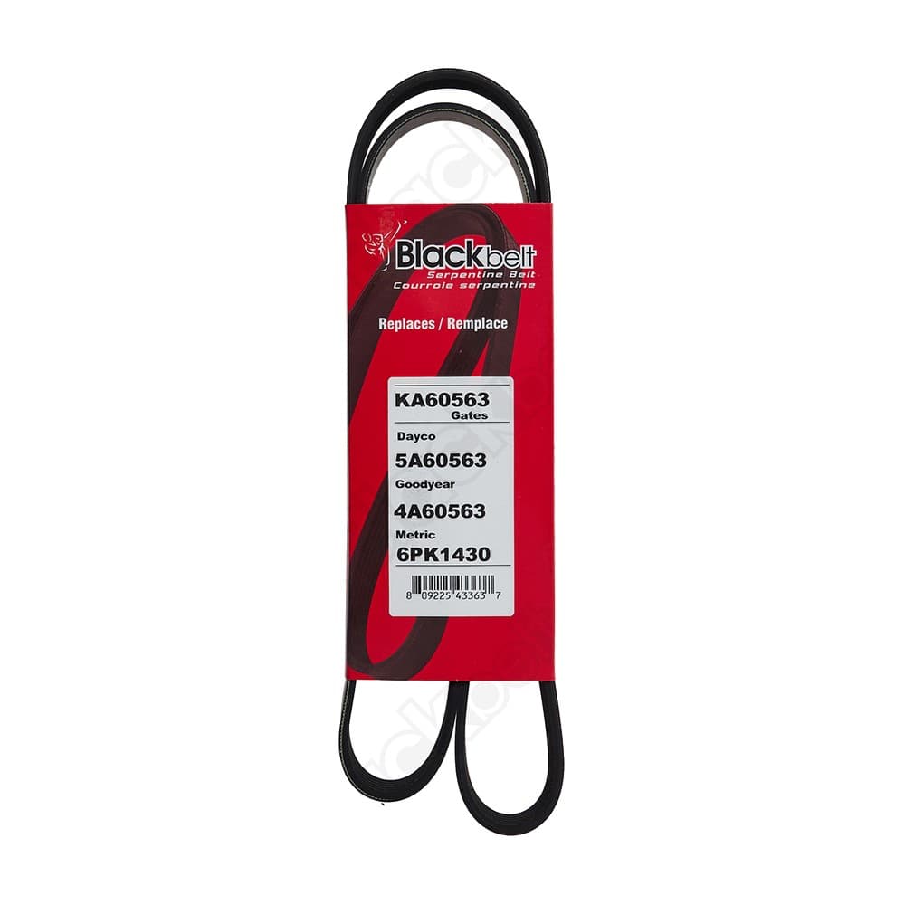Serpentine Belt KA60563