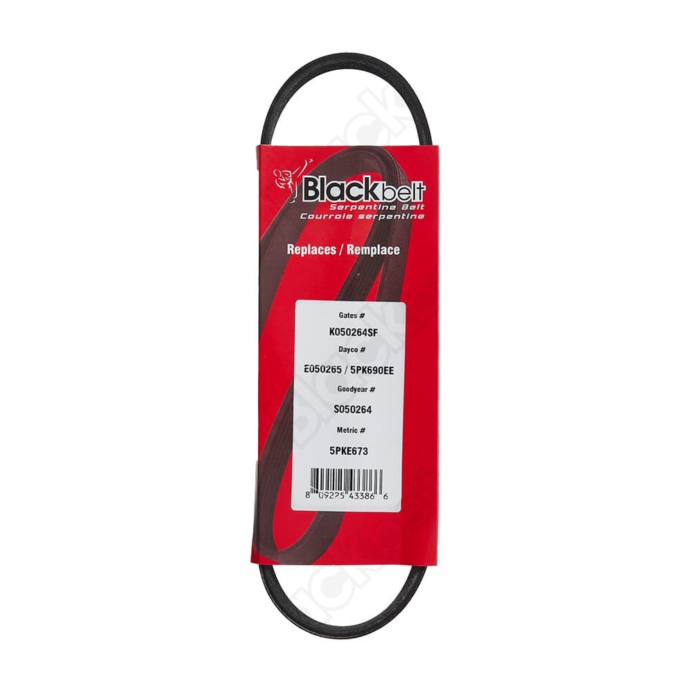 Elastic Serp Belt KE50265