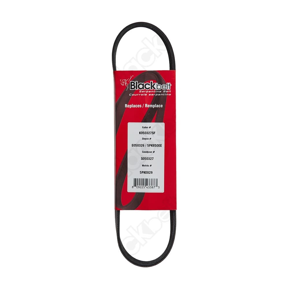 Elastic Serp Belt KE50326
