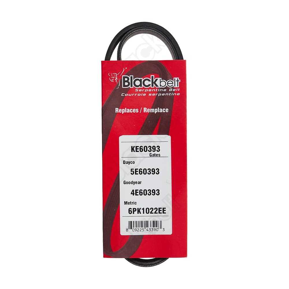Elastic Serp Belt KE60393