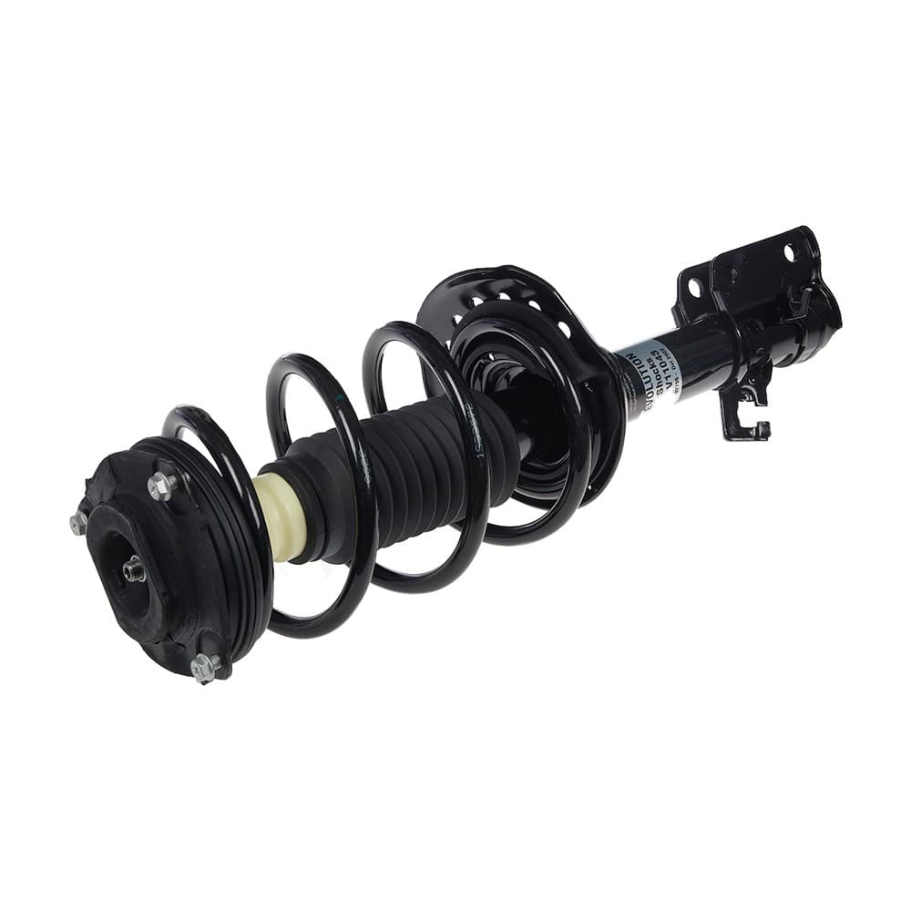 Complete Strut V11043