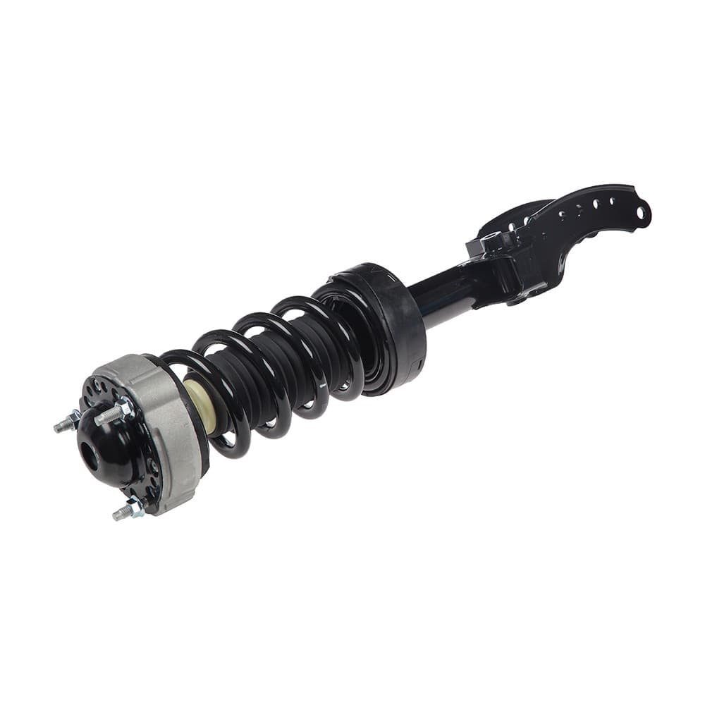 Complete Strut V11118
