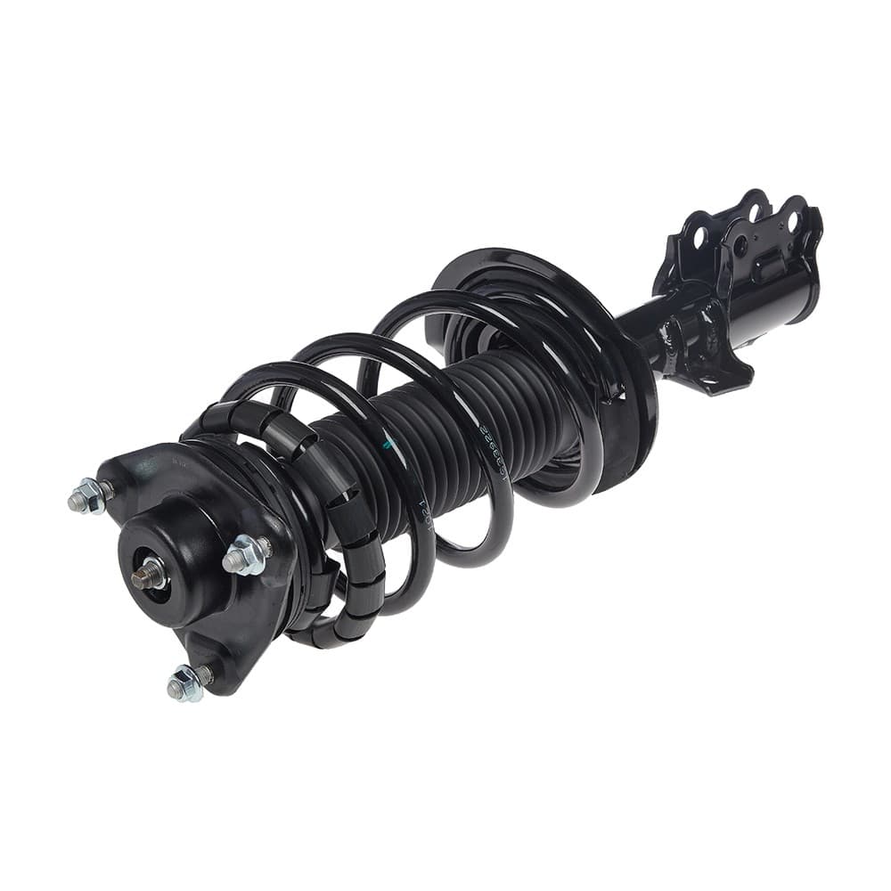 Complete Strut V11163