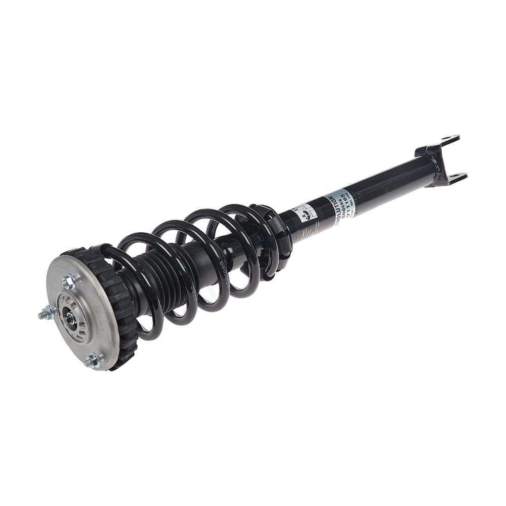 Complete Strut V11165