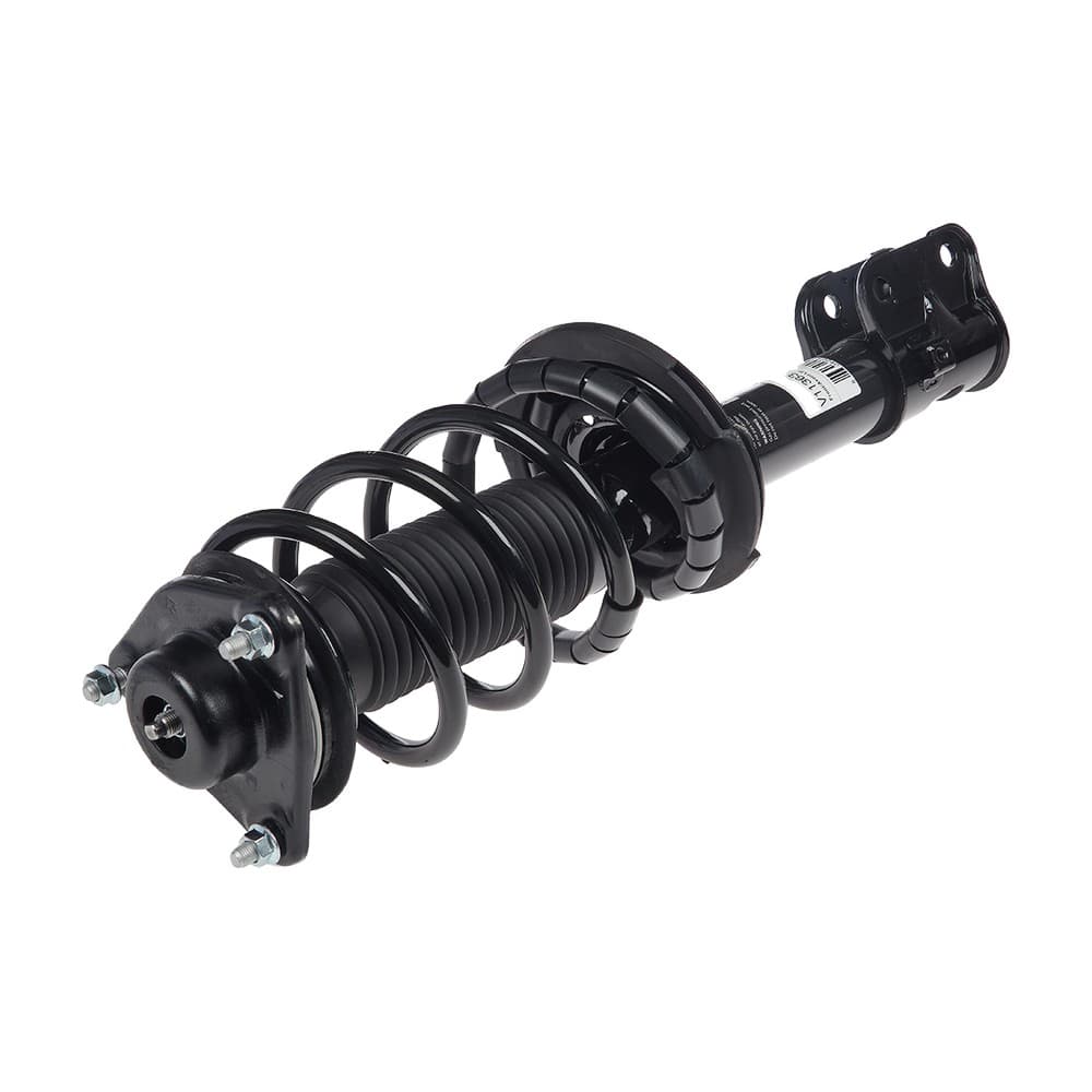 Complete Strut V11363