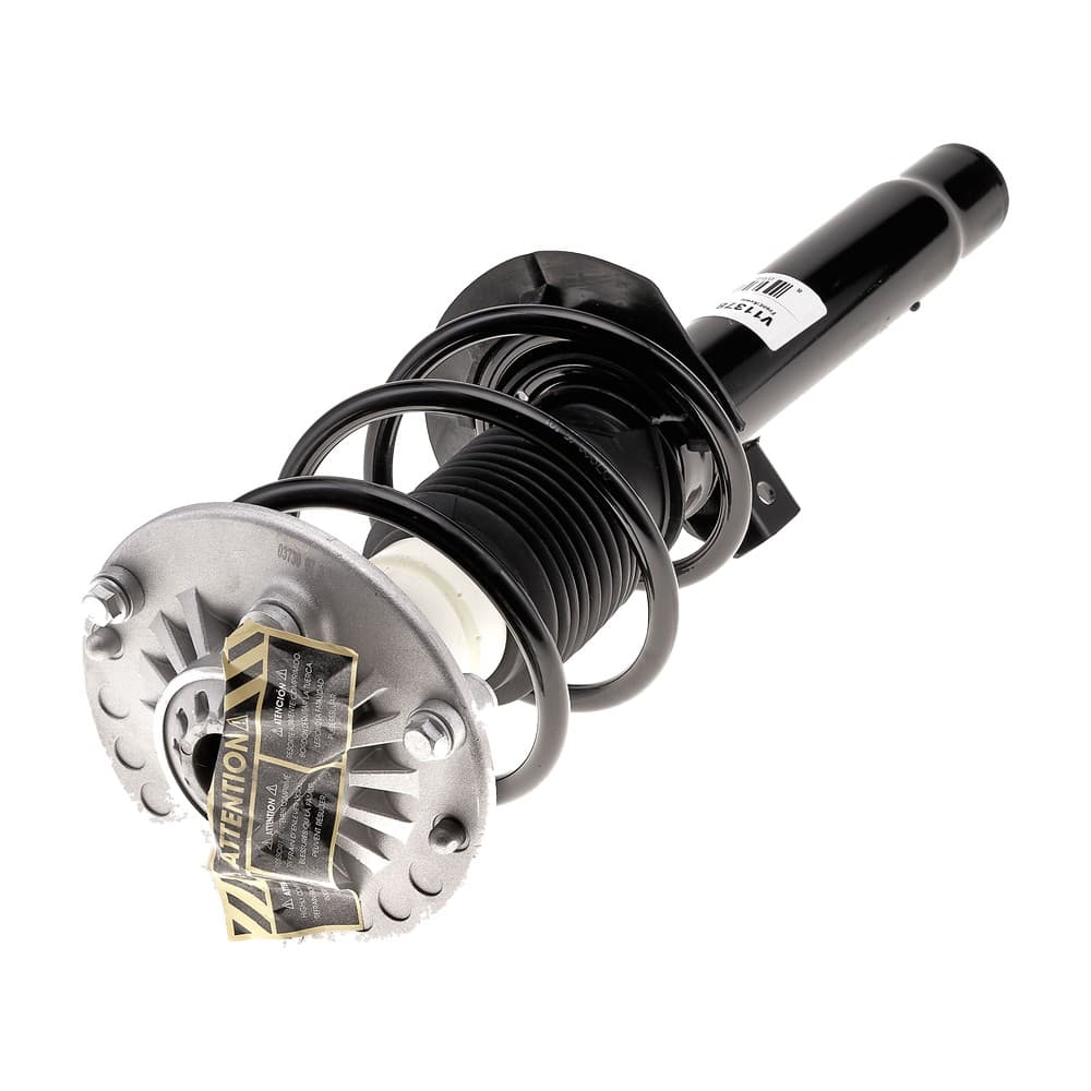 Complete Strut V11378