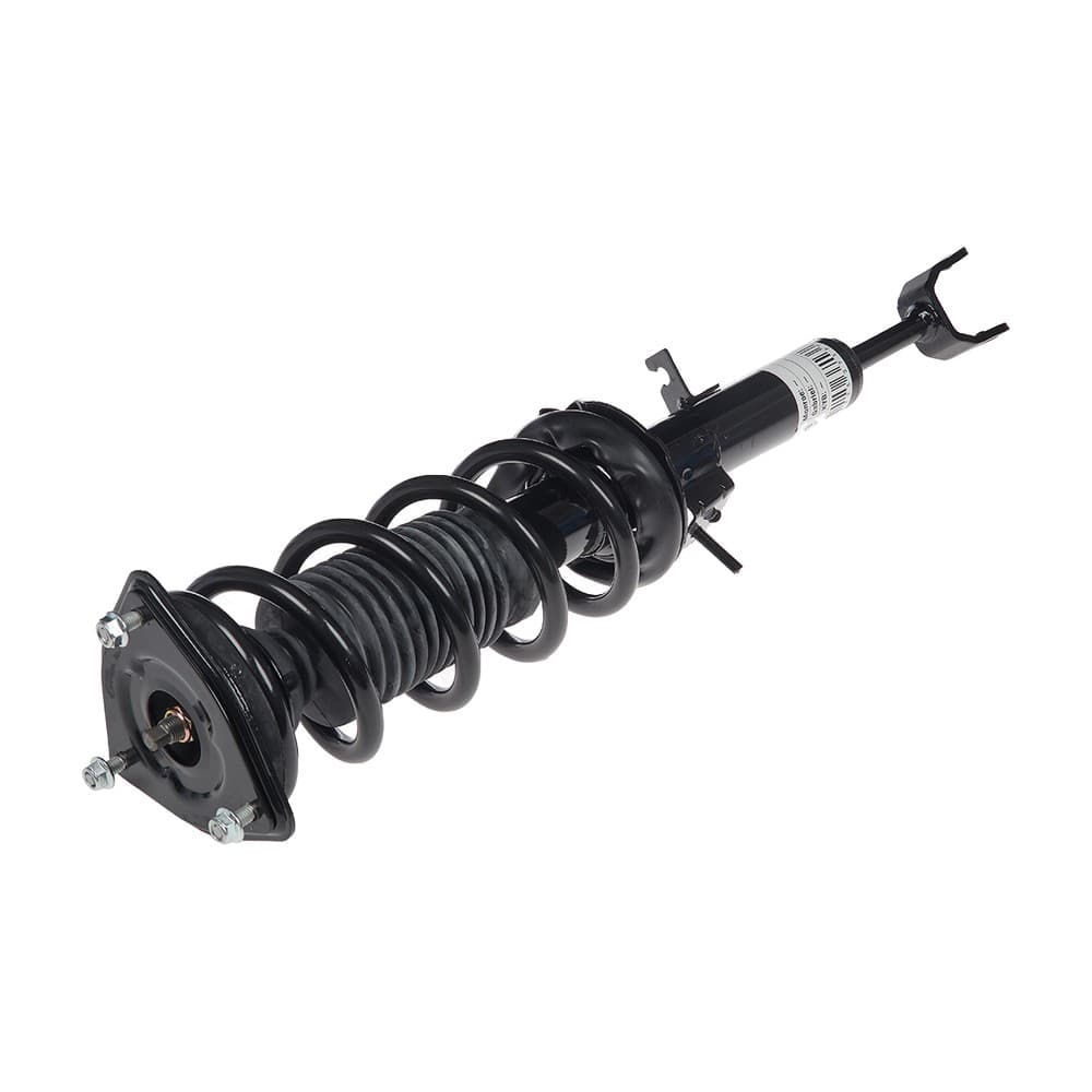 Complete Strut V11393