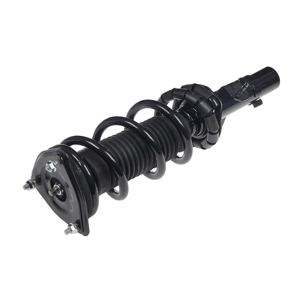 Complete Strut V11415