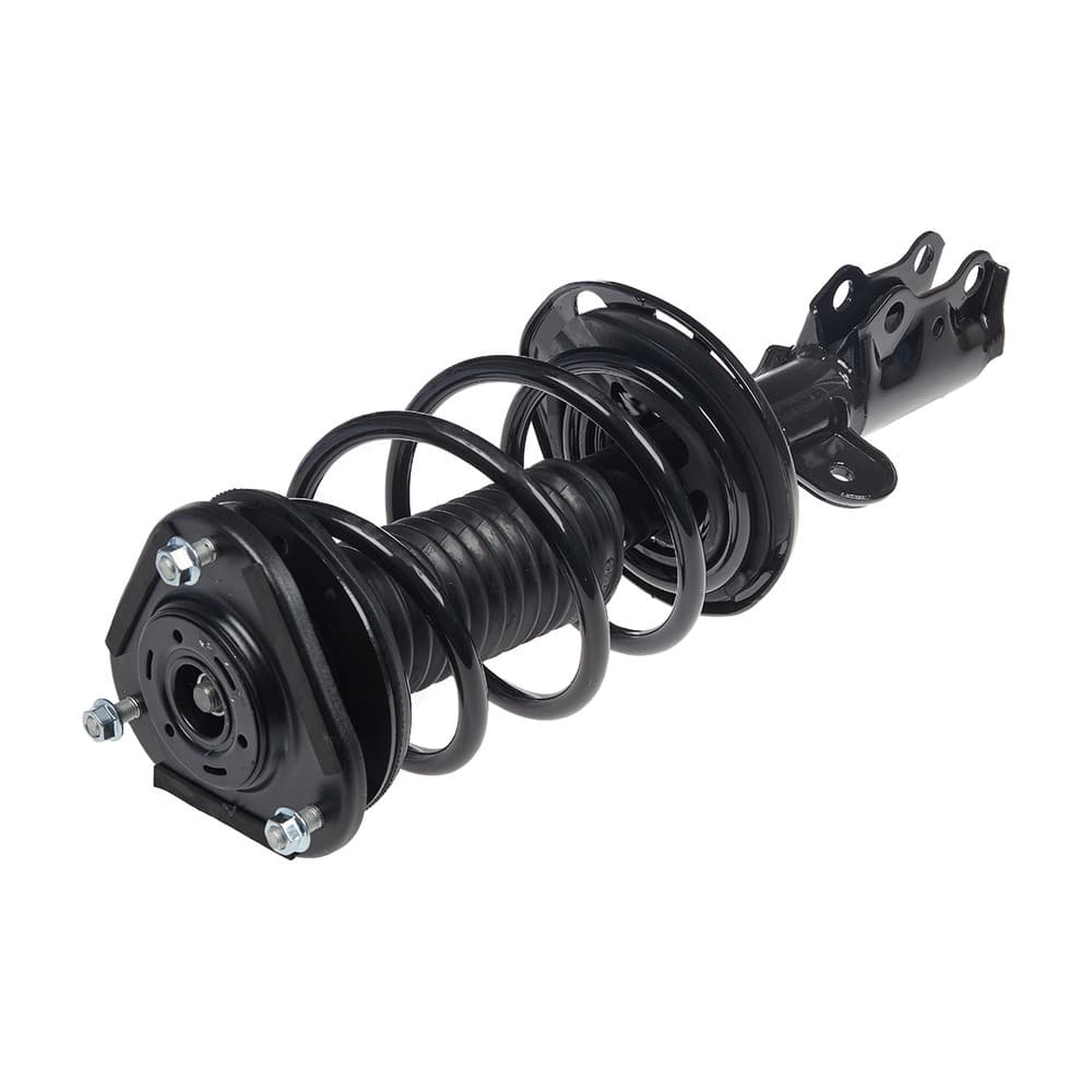 Complete Strut V11421