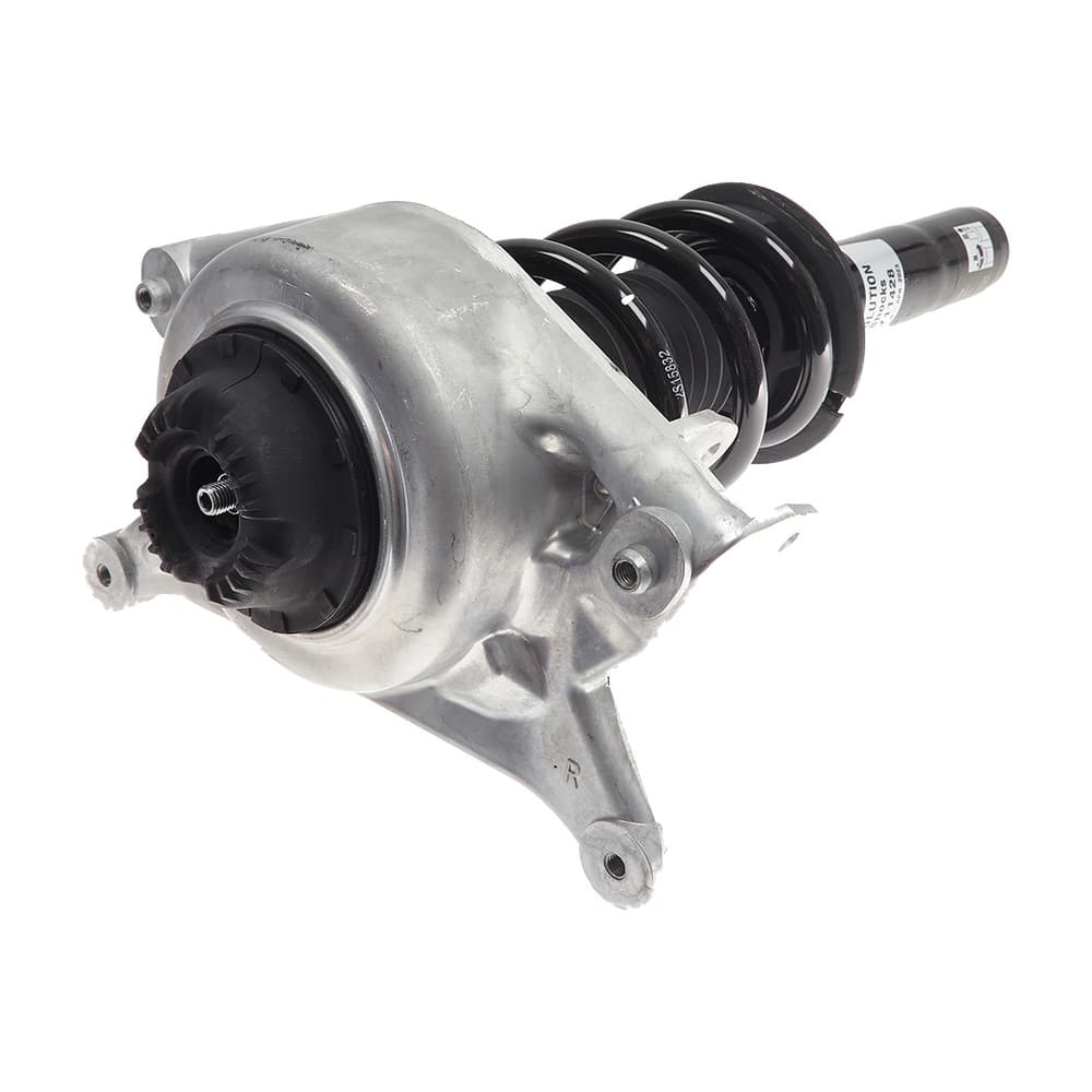 Complete Strut V11428